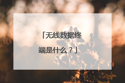 无线数据终端是什么？