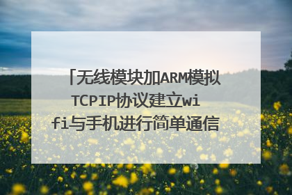 无线模块加ARM模拟TCPIP协议建立wifi与手机进行简单通信？理论上可行吗？