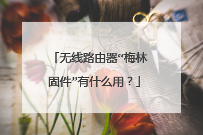 无线路由器“梅林固件”有什么用?