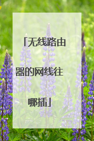 无线路由器的网线往哪插