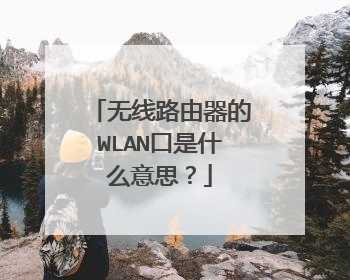 无线路由器的WLAN口是什么意思？