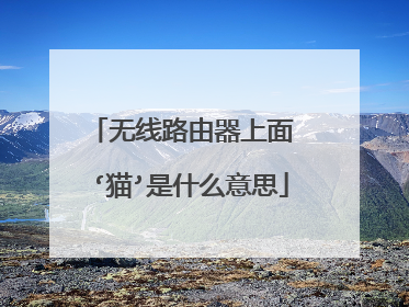 无线路由器上面 ‘猫’是什么意思