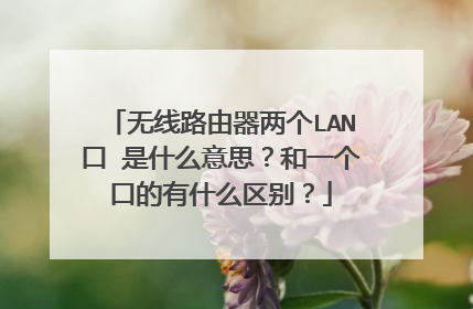无线路由器两个LAN口 是什么意思？和一个口的有什么区别？