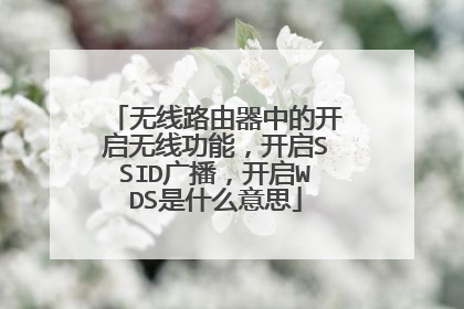 无线路由器中的开启无线功能,开启SSID广播,开启WDS是什么意思