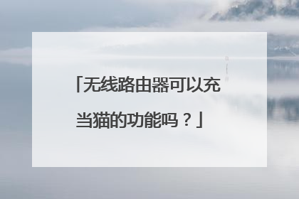 无线路由器可以充当猫的功能吗？