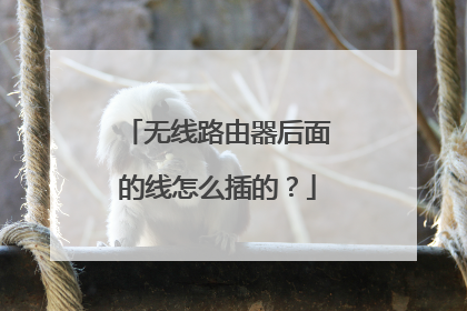 无线路由器后面的线怎么插的？