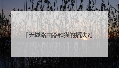 无线路由器和猫的插法?