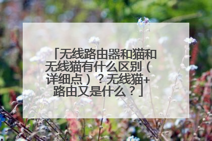 无线路由器和猫和无线猫有什么区别（详细点）？无线猫+路由又是什么？