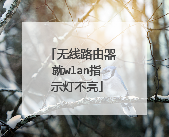 无线路由器就wlan指示灯不亮