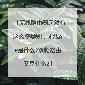无线路由器居然有这么多类别，无线AP是什么?双频路由又是什么?
