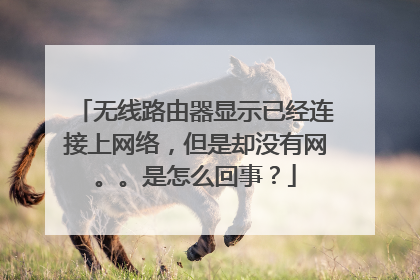 无线路由器显示已经连接上网络，但是却没有网。。是怎么回事？