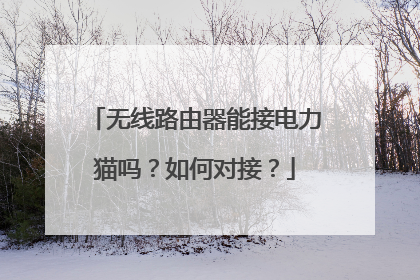 无线路由器能接电力猫吗?如何对接?