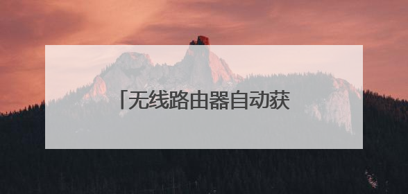 无线路由器自动获取ip无法上网