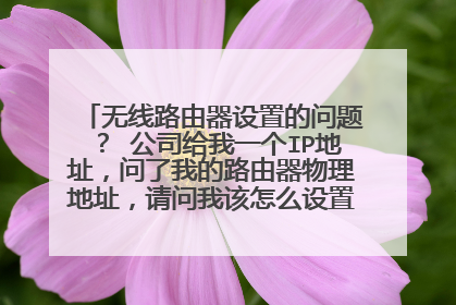 无线路由器设置的问题? 公司给我一个IP地址,问了我的路由器物理地址,请问我该怎么设置我的路由器,