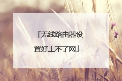 无线路由器设置好上不了网