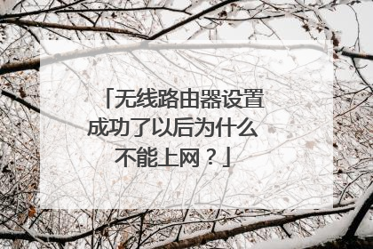 无线路由器设置成功了以后为什么不能上网？