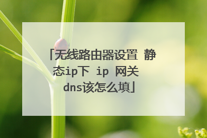 无线路由器设置 静态ip下 ip 网关 dns该怎么填