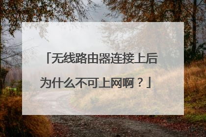 无线路由器连接上后为什么不可上网啊?