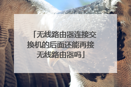 无线路由器连接交换机的后面还能再接无线路由器吗