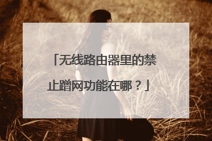 无线路由器里的禁止蹭网功能在哪？