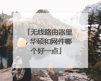 无线路由器里，华硕和网件哪个好一点
