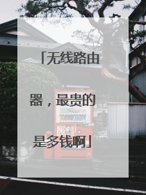 无线路由器，最贵的是多钱啊