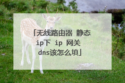 无线路由器 静态ip下 ip 网关 dns该怎么填