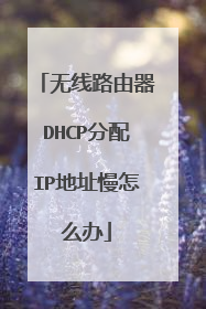 无线路由器DHCP分配IP地址慢怎么办