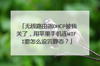 无线路由器DHCP被我关了，用苹果手机连WIFI要怎么设置静态？