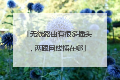 无线路由有很多插头,两跟网线插在哪
