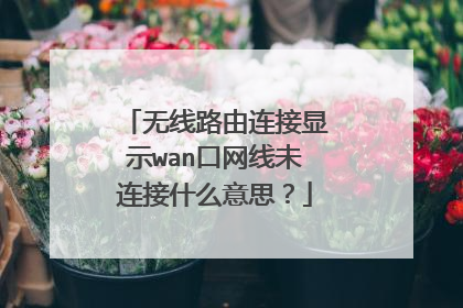 无线路由连接显示wan口网线未连接什么意思?