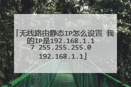 无线路由静态IP怎么设置 我的IP是192.168.1.17 255.255.255.0 192.168.1.1