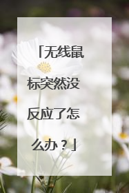 无线鼠标突然没反应了怎么办？