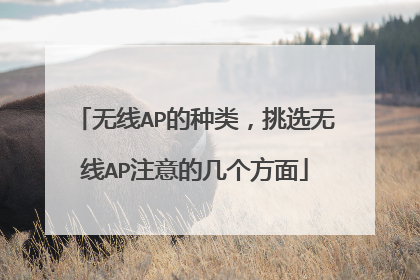 无线AP的种类,挑选无线AP注意的几个方面