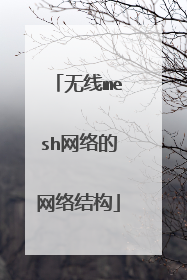 无线mesh网络的网络结构