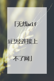 无线wifi已经连接上不了网