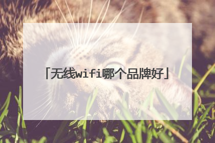 无线wifi哪个品牌好