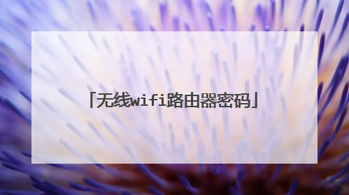 无线wifi路由器密码