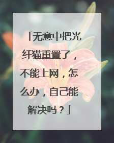 无意中把光纤猫重置了，不能上网，怎么办，自己能解决吗？