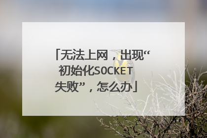 无法上网,出现“初始化SOCKET失败”,怎么办