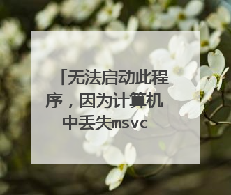 无法启动此程序,因为计算机中丢失msvcrtd.dll。尝试重新安装该程序以解决此问题。