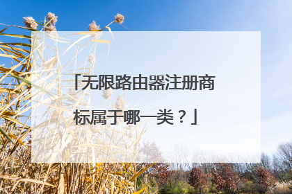 无限路由器注册商标属于哪一类？