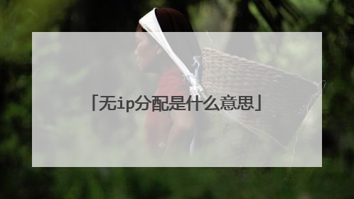 无ip分配是什么意思