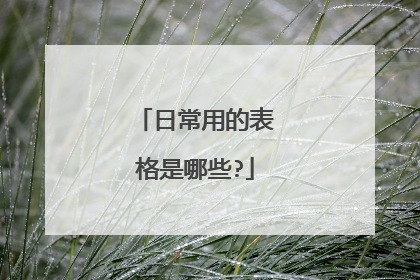 日常用的表格是哪些?