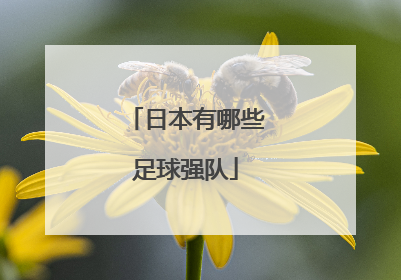 日本有哪些足球强队