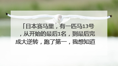 日本赛马里，有一匹马13号，从开始的最后1名，到最后完成大逆转，跑了第一，我想知道那匹马的名字，不胜感