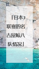 日本J联赛的名古屋鲸八队情况