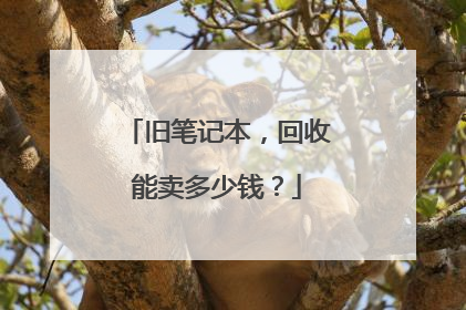 旧笔记本，回收能卖多少钱？