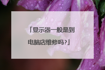 显示器一般是到电脑店维修吗?