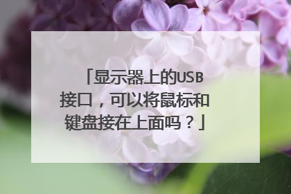 显示器上的USB接口,可以将鼠标和键盘接在上面吗?